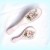 Set perie si oglinda - romantic roses 1037